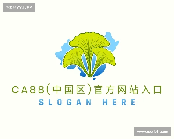 网页版CA88(中国区)官方网站入口